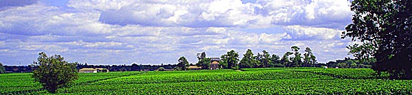 Chateau Lagraula et son vignoble