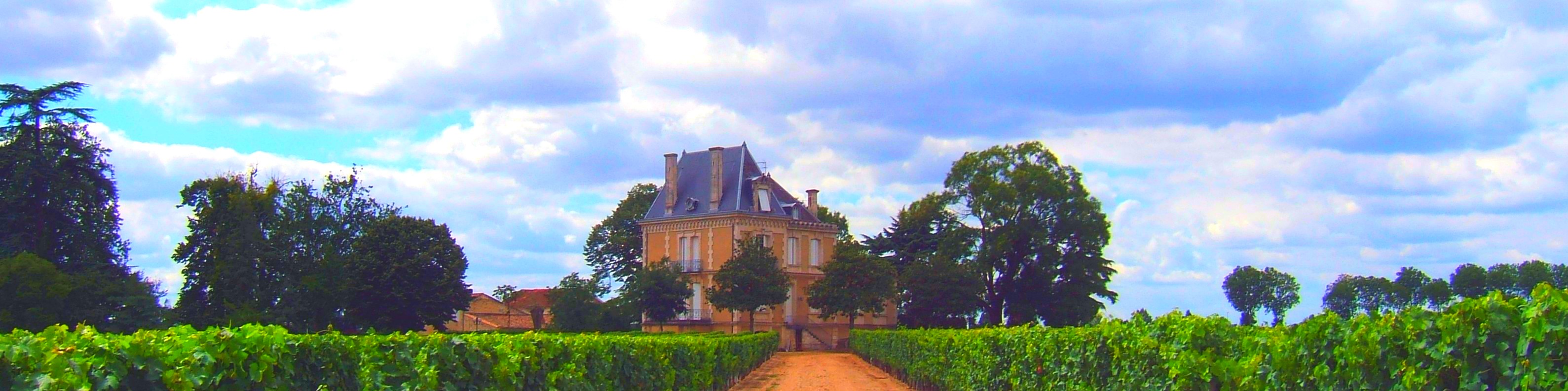 Chateau Marzy (2)